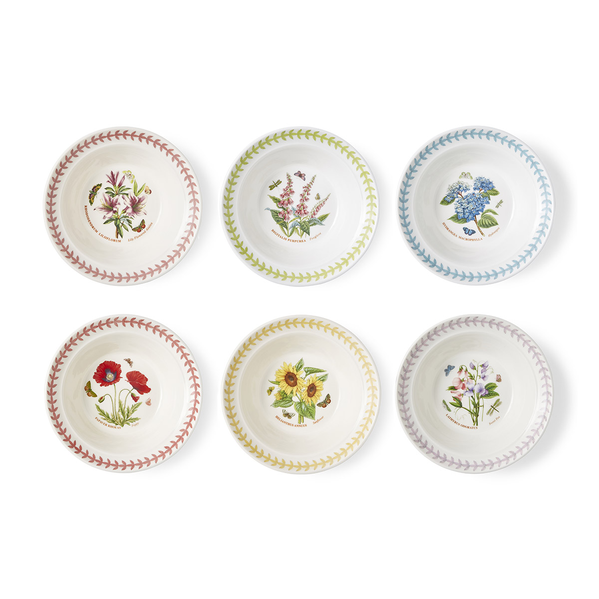 Botanic Garden Meadow Oatmeal Bowl Set of 6 image number null